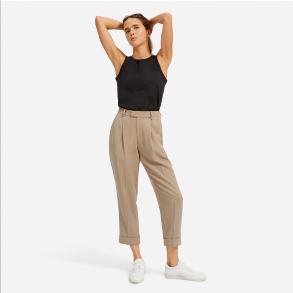 The Put Together Pleat Pant - Everlane - size 4 - clay, tan, warm beige